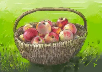 Apples busket