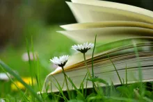 book_on_grass