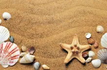 beach_and_shells