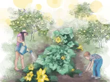 Garden 2