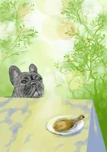 Dog and bone
