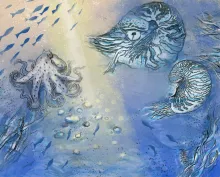 Sea Life